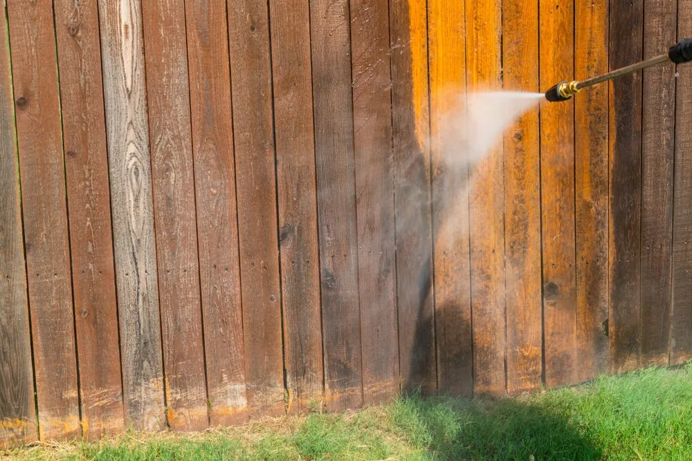 Fence Cleaning Sydney